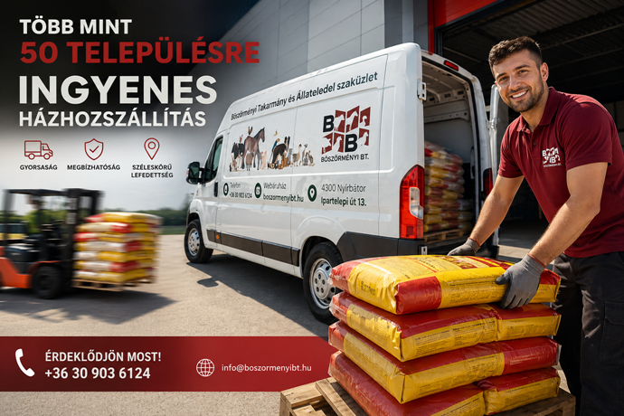 Ingyenes szállítás
