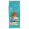 Dog chow junior 14kg bárányos