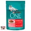 One Sterilcat Gig Salmon & Carrot 85g