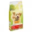 Friskies Active száraz kutyaeledel marhával 15 kg