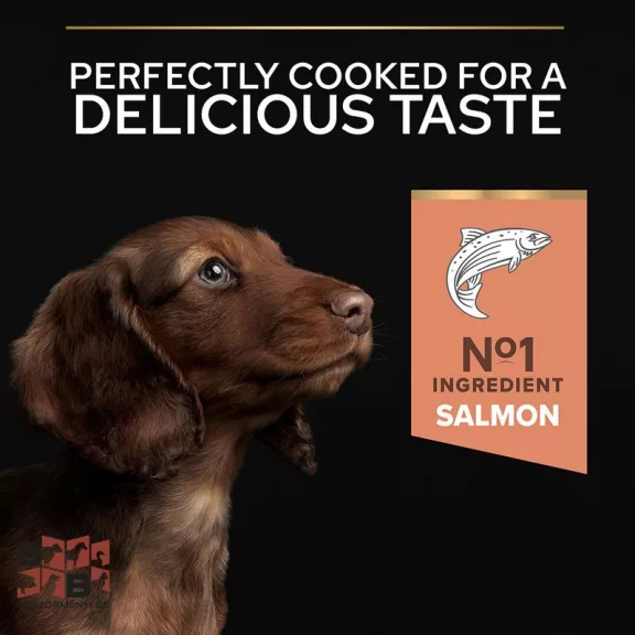 PURINA PRO PLAN Small & Mini Puppy Sensitive Skin Salmon 3 kg

