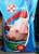 Purina sertés plusz malackoncentrátum 25 % 20kg