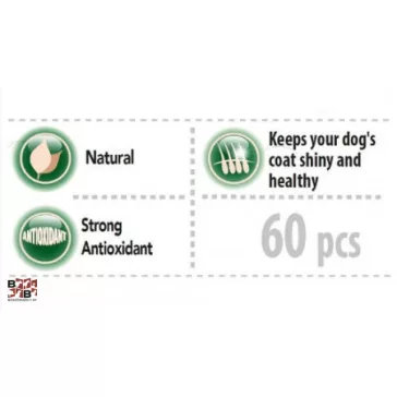 Panzi Fit Active Broccoli Vitamin 60 db