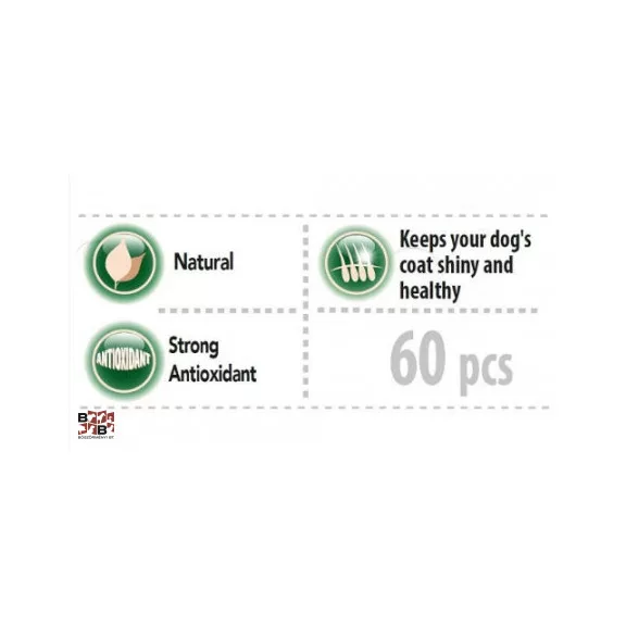 Panzi Fit Active Broccoli Vitamin 60 db