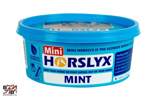 Horslyx Mint Balancer Mini 650g