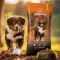 Energys Puppy & Junior All Breeds Beef 12 kg-os marhában gazdag prémium minőségű kutyatáp
 