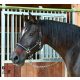 Covalliero Mustang kötőfék Pony  