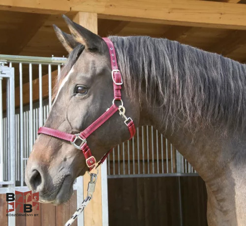 Covalliero Mustang kötőfék Pony 