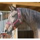 Covalliero Mustang kötőfék Pony 