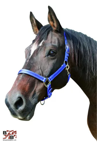Covalliero Mustang kötőfék Pony