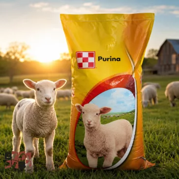 Purina bárány max prémium nevelő takarmánykeverék 40kg