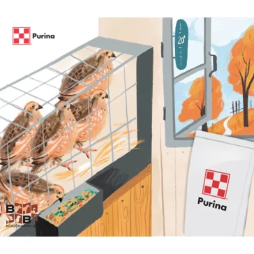 Purina fürj extra indító takarmánykeverék morzs. 20kg