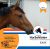 HorseMolen Easy 20kg