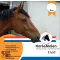 HorseMolen Easy 20kg