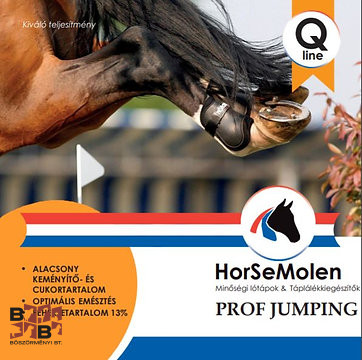 HorseMolen Prof Jumping 20kg