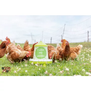 I love my ladies - műanyag baromfi etető lábakkal 2 kg