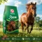  Purina Bázis zabmentes ló tak. kev. 6mm gr. 25kg-os 
