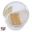 Multi Trap-Medium reusable fly trap