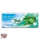 Papírzsebkendő TENTO Family 3 rétegű 10x10 db-os Eucalyptus