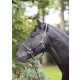 Covalliero Cordano kötőfék pony olivazöld