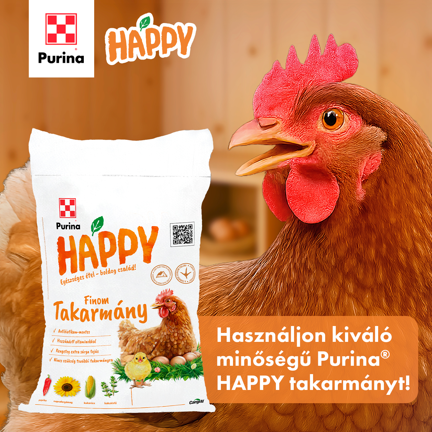 Hogyan támogatható a tojótyúkok immunrendszere a hideg évszakban?