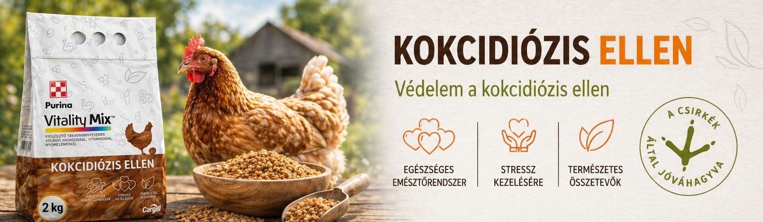 Kokcidiózis